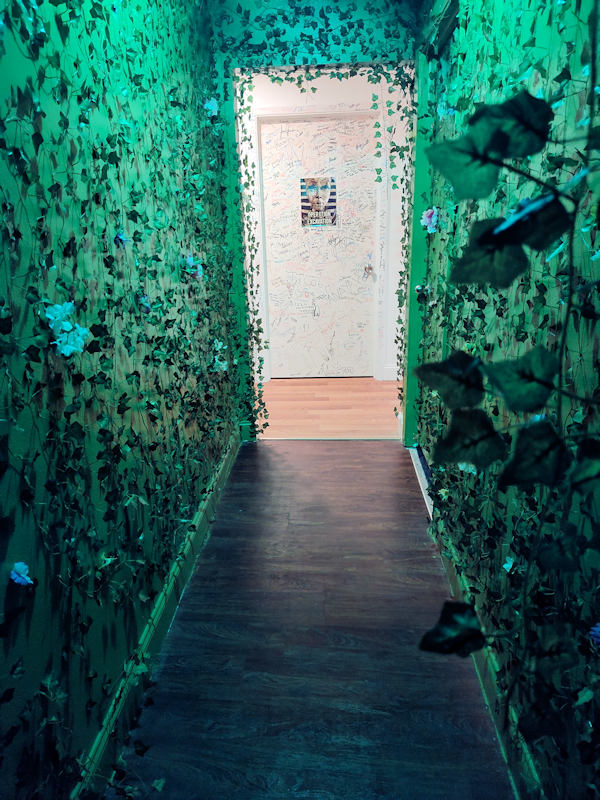 Escape Room hallway New Port Richey